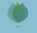 icon logo
